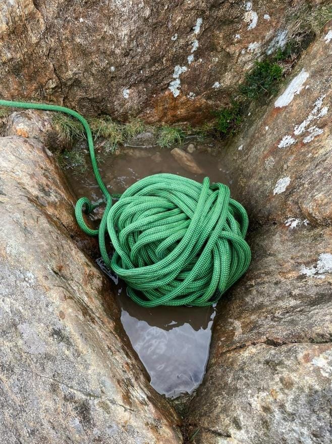 A green bug on a rock
Description automatically generated with low confidence