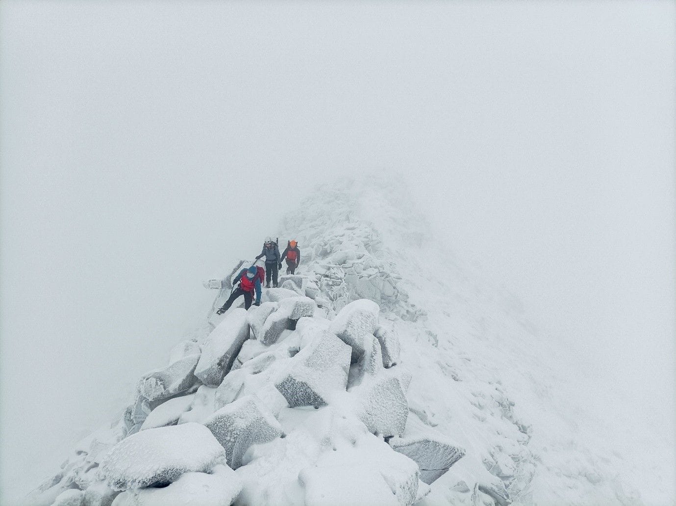 Scotland Trip Report 2024