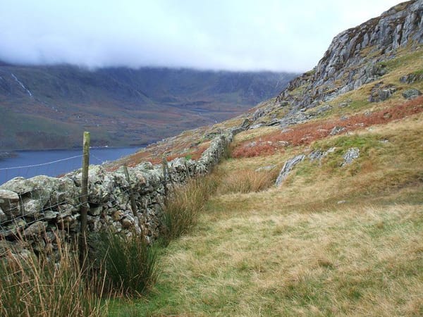 Ogwen '10
