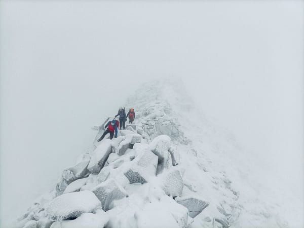 Scotland Trip Report 2024